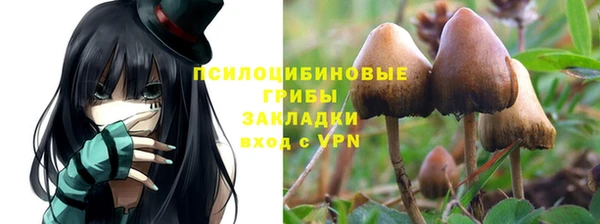 не бодяженный Володарск