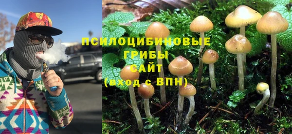 не бодяженный Володарск