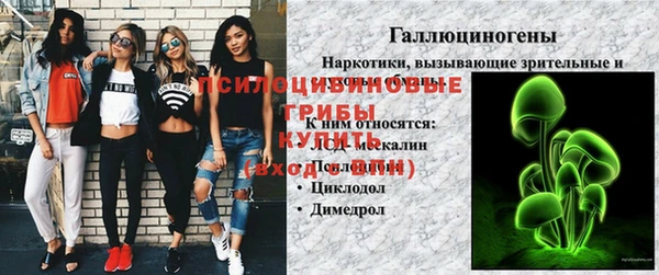 тгк Волоколамск