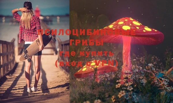 спиды Снежинск