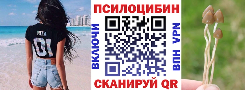 наркотики  ОМГ ОМГ зеркало  Псилоцибиновые грибы GOLDEN TEACHER  Ильский 